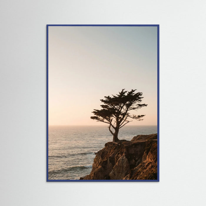 Blue Wood Coastal Horizon
