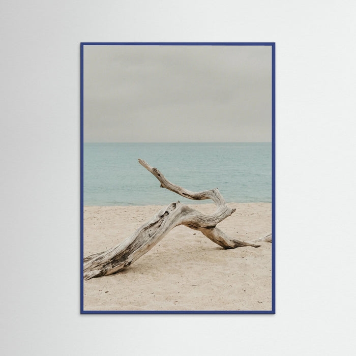 Blue Wood Coastal Seren