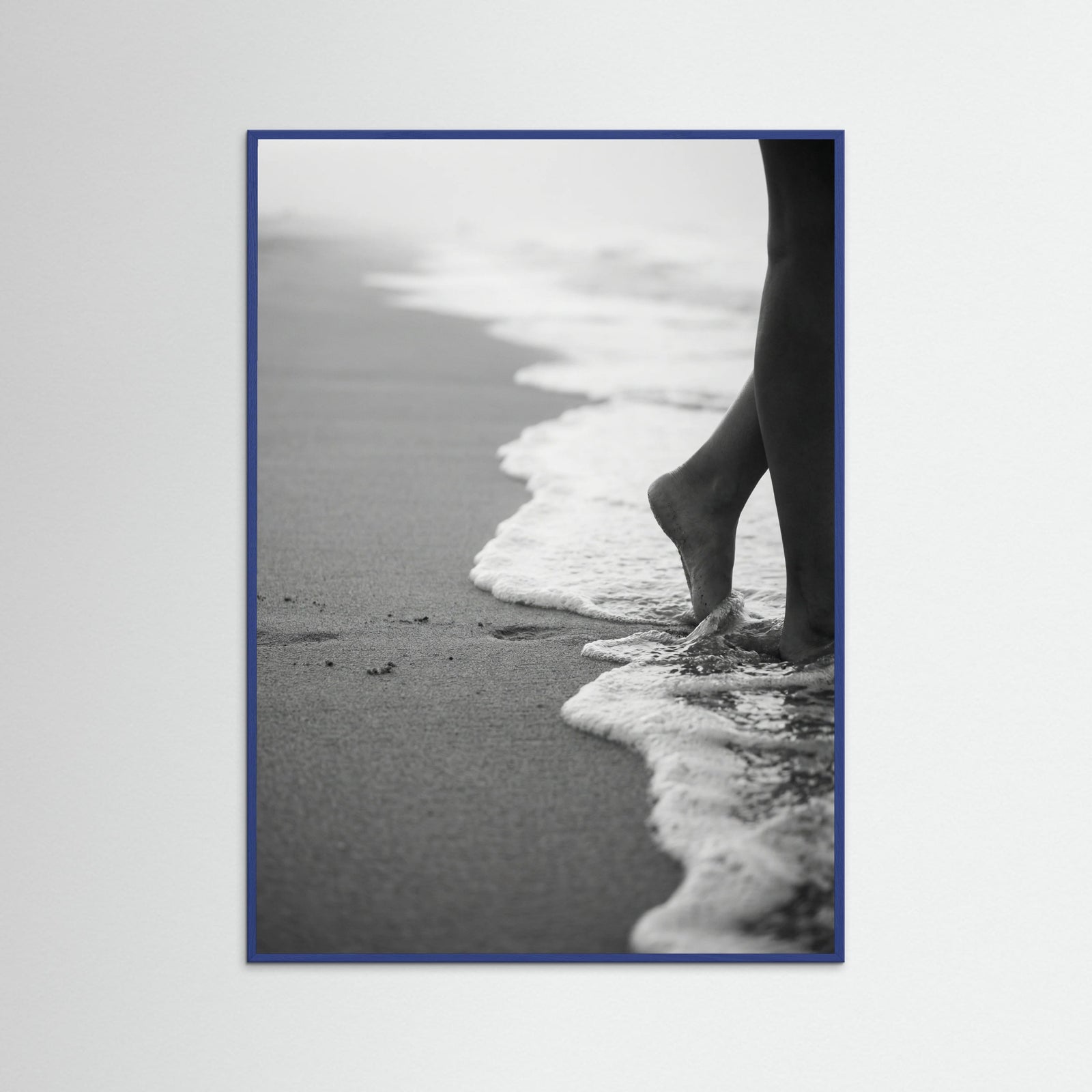 Blue Wood Coastal Wanderer