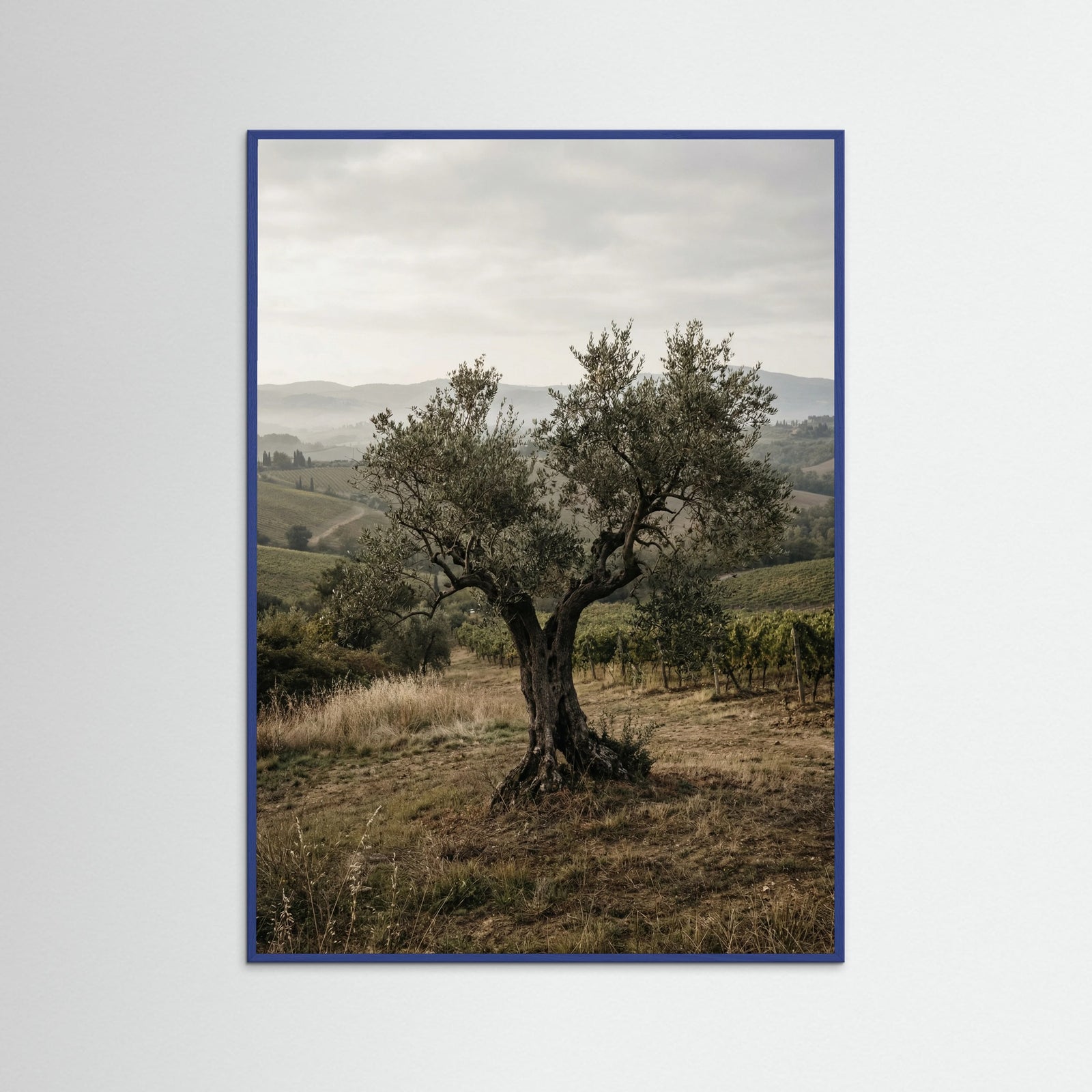 Blue Wood Cypress Path