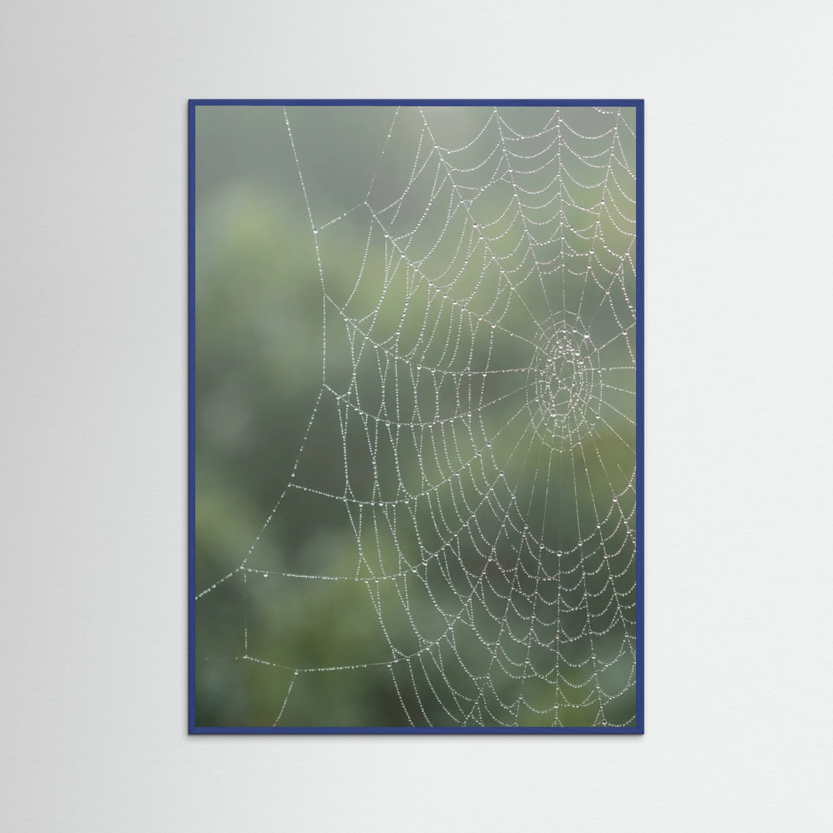 Blue Wood Dew Kissed