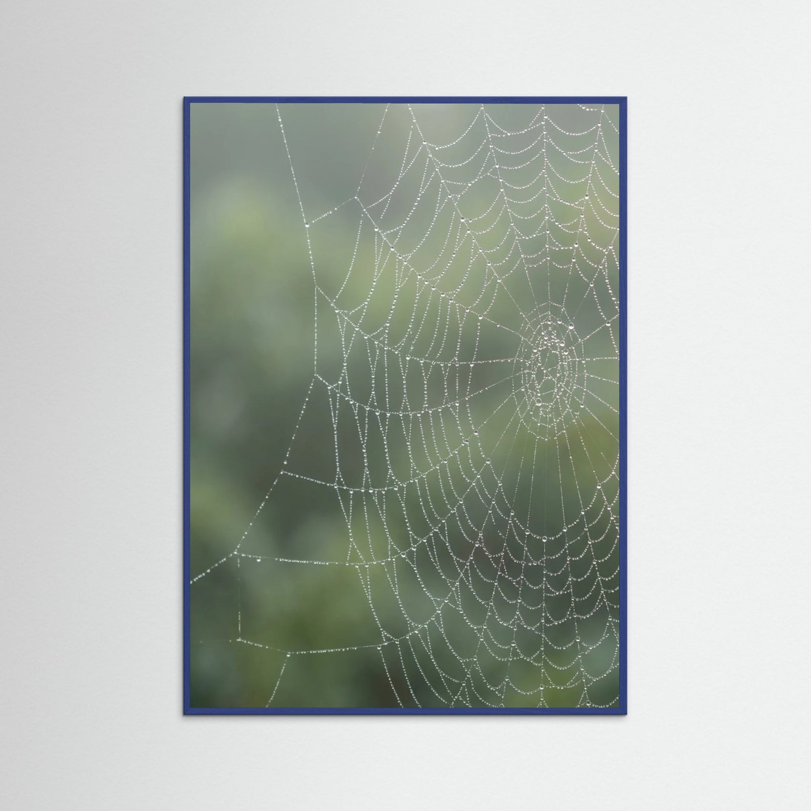 Blue Wood Dew Kissed