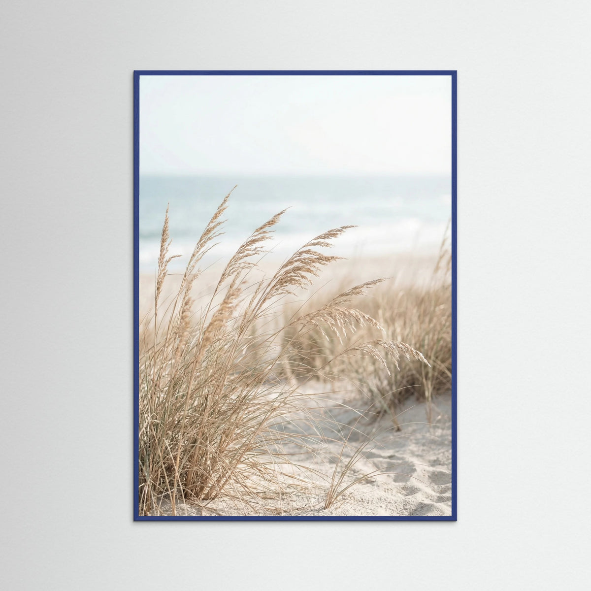 Blue Wood Dune Path Serenity