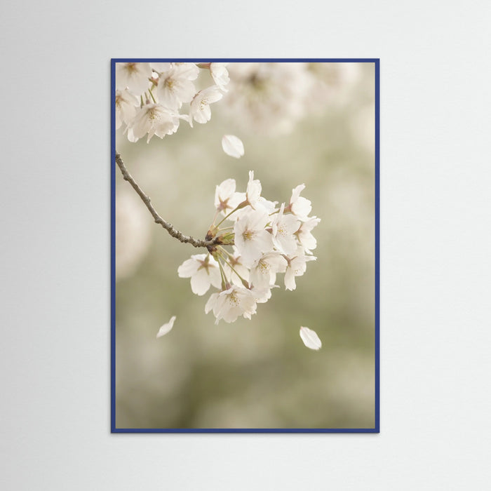 Blue Wood Ethereal Bloom White