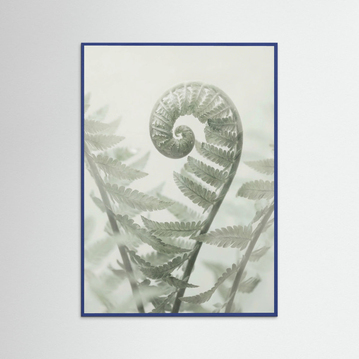 Blue Wood Ethereal Eucalyptus