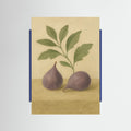 Blue Wood Fig study