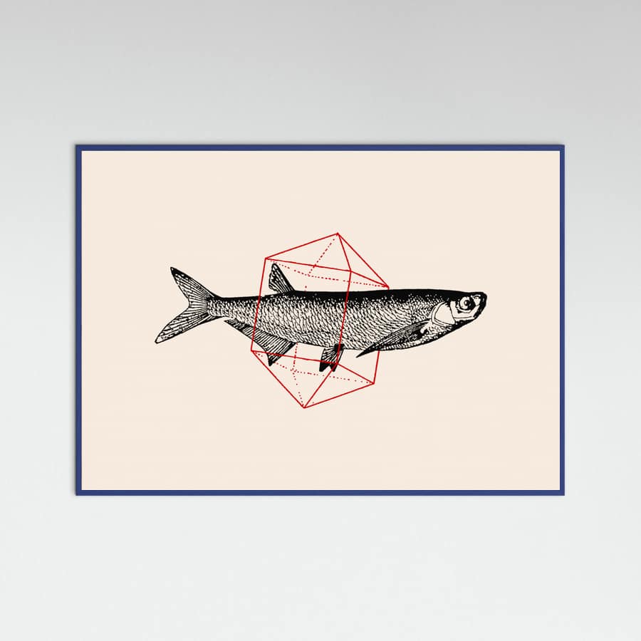 Fish In Geometrics Nº2 Poster – plakat og kunsttryk