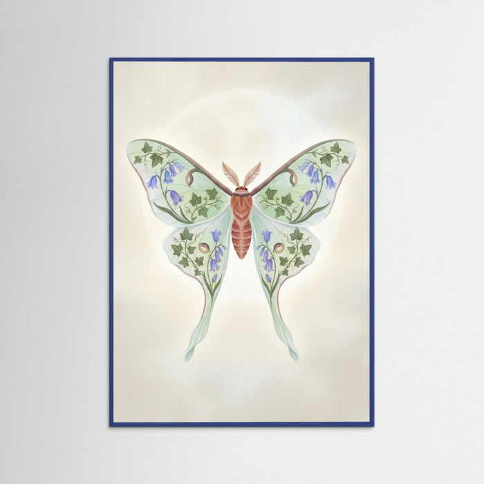Blue Wood Floral Moth Study