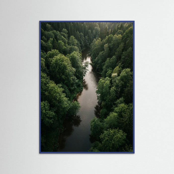 Blue Wood Forest Traverse
