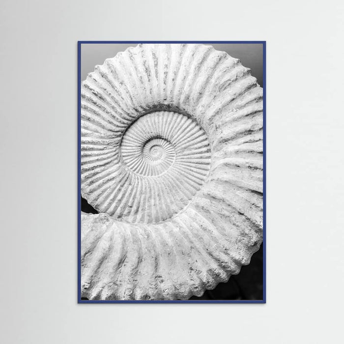 Poster Formula – poster e stampa artistica