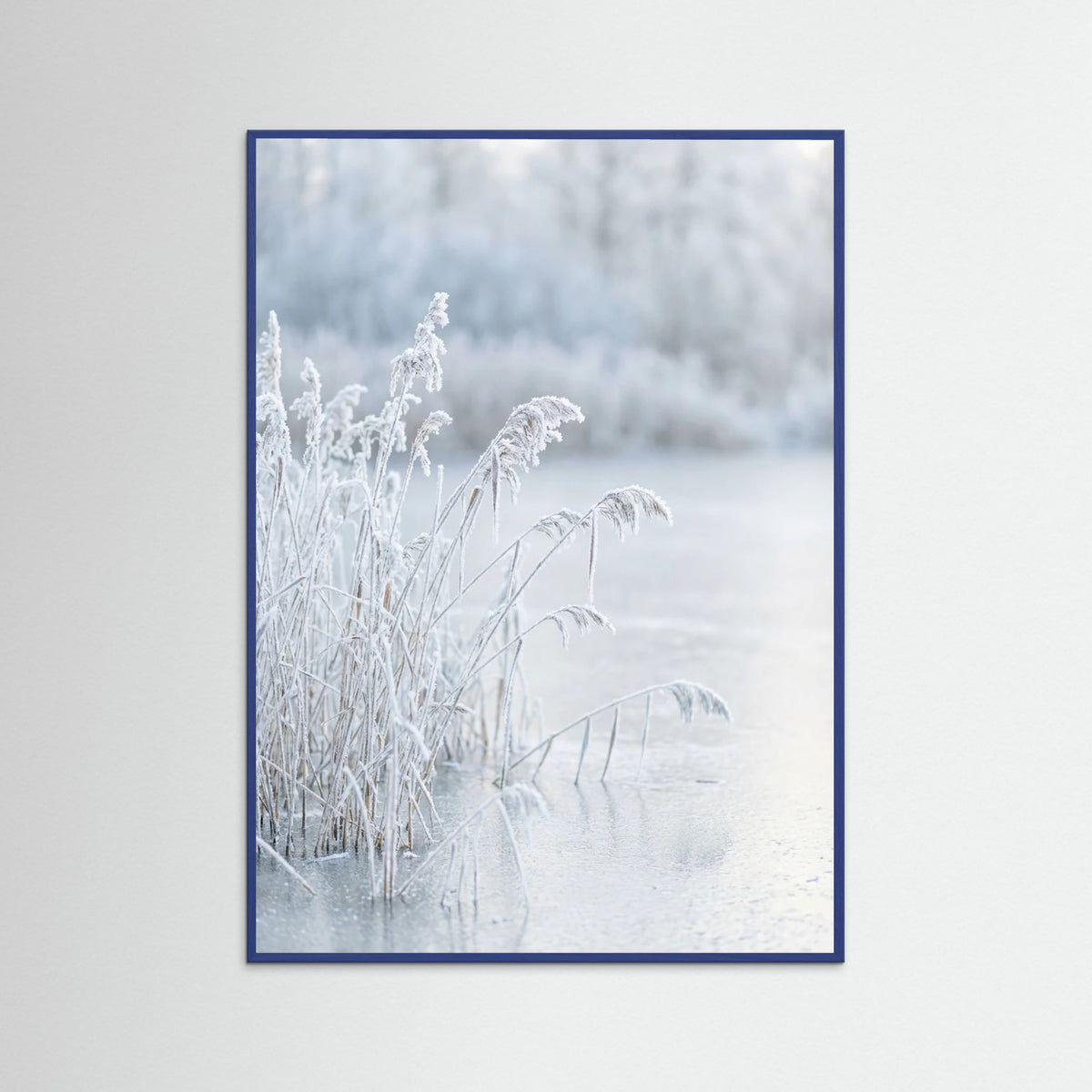 Blue Wood Frozen Reflections