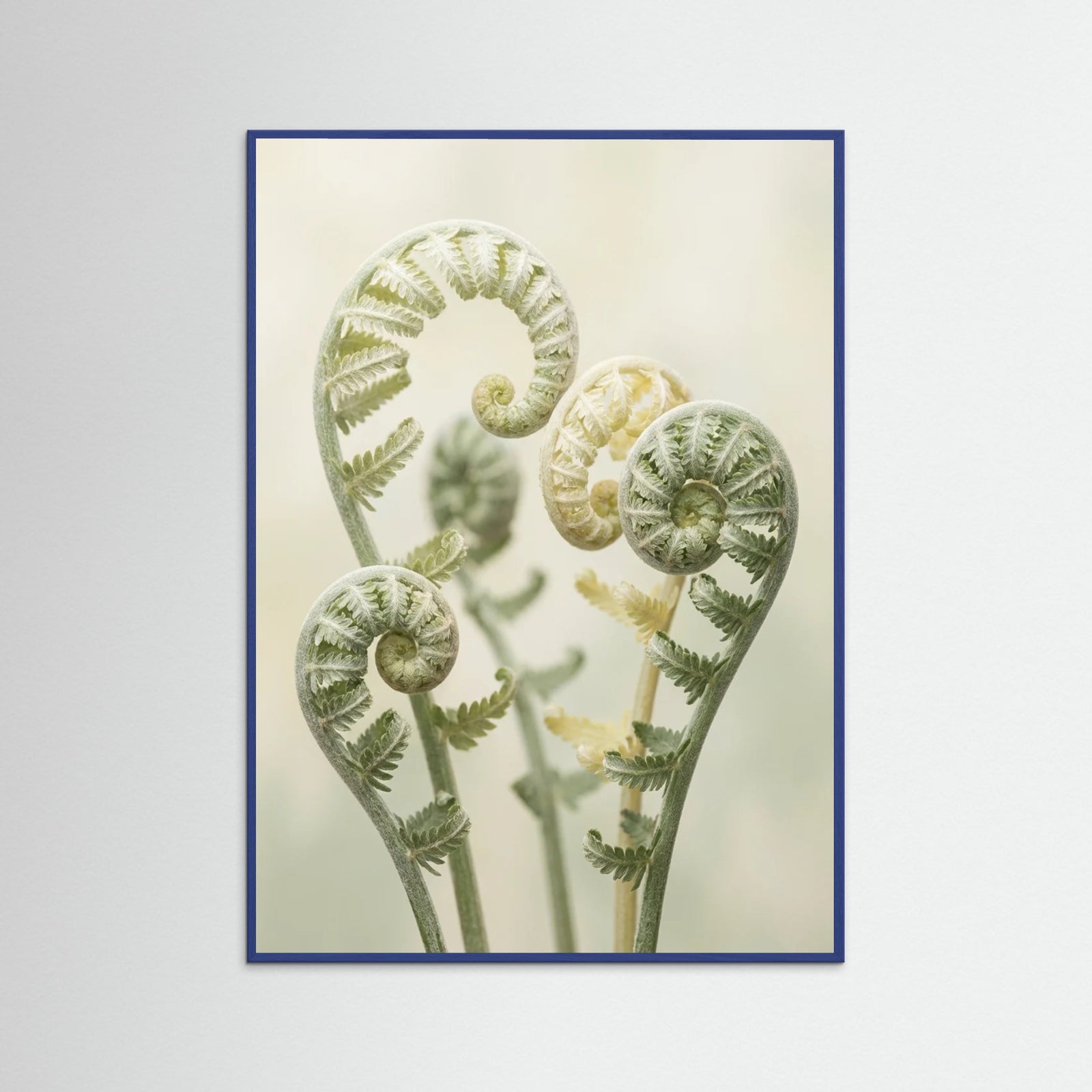 Blue Wood Gentle Ascent