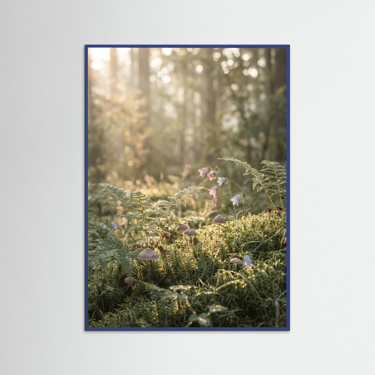 Blue Wood Golden Hour Serenity