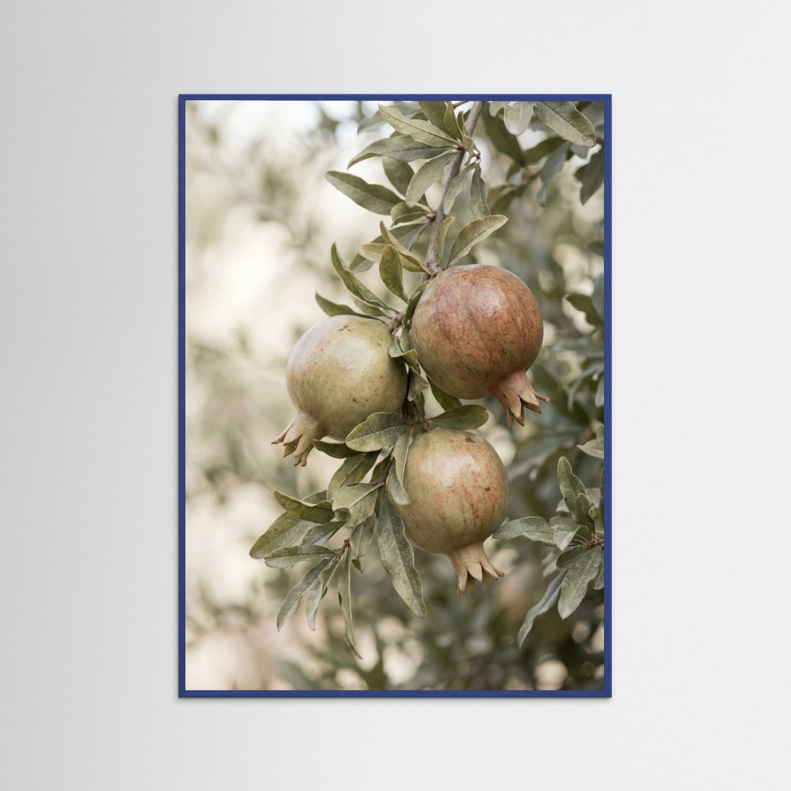 Blue Wood Green Olives