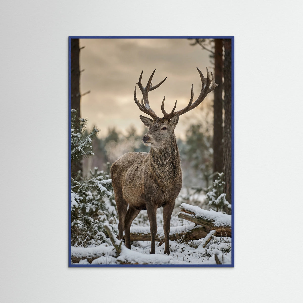 Blue Wood Highland Winter