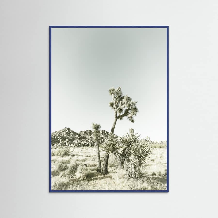 Blue Wood Joshua Tree National Park Vintage Impression Poster
