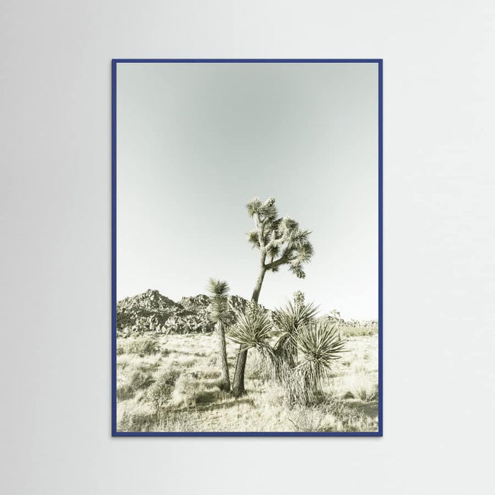 Blue Wood Joshua Tree National Park Vintage Impression Poster