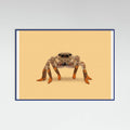Blue Wood Lydia the Leggiest Cowgirl Spider Poster