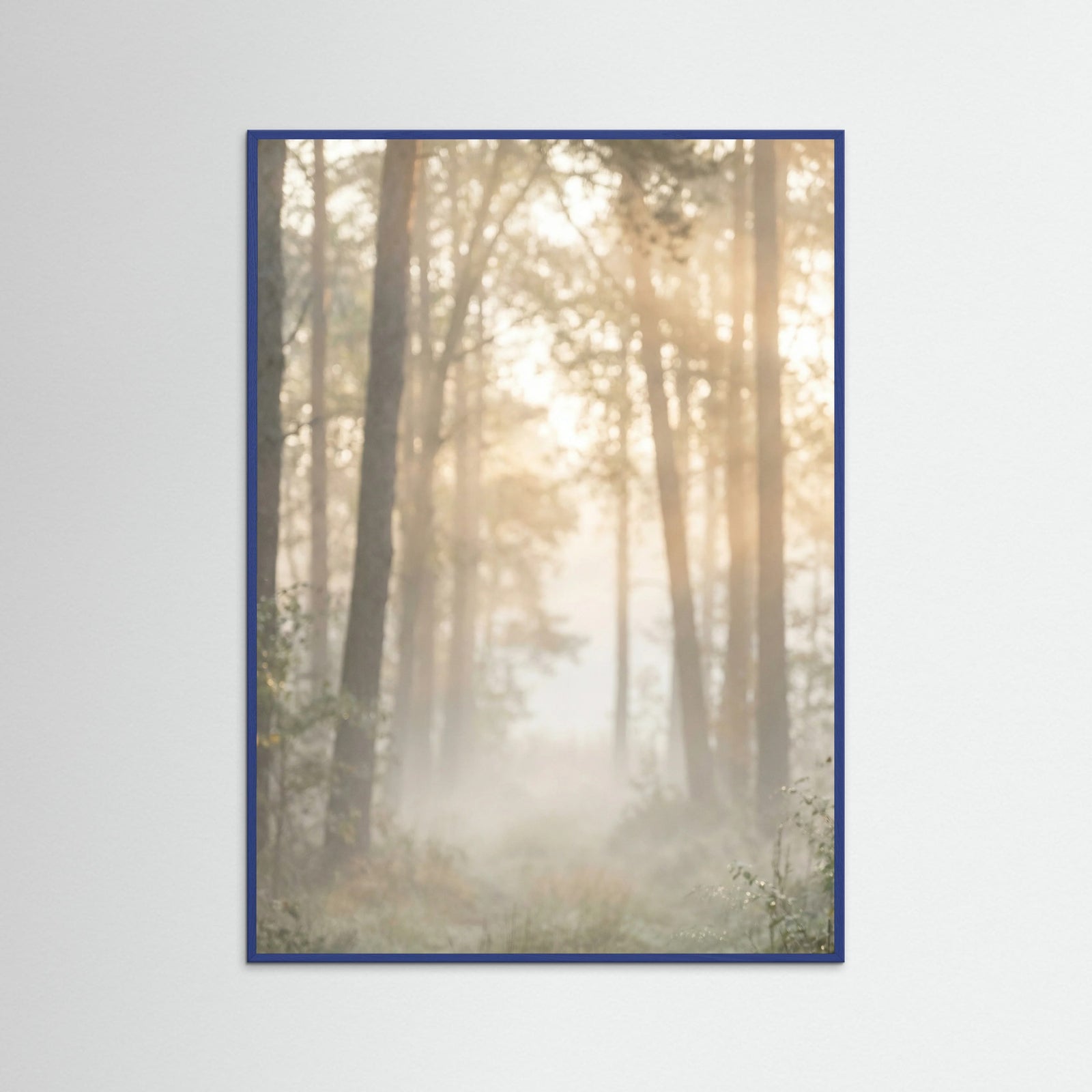 Blue Wood Misty Morning Shore