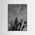 Blue Wood Monochrome Cactus Sky Poster