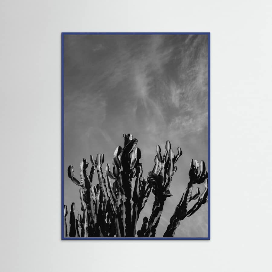 Blue Wood Monochrome Cactus Sky Poster