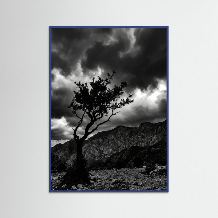 Blue Wood Monochrome Seascape
