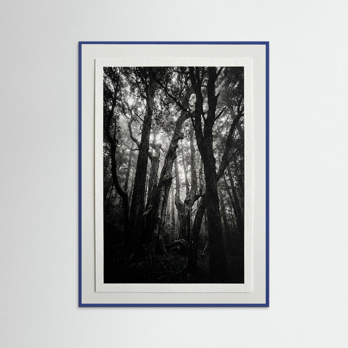 Blue Wood Monolith Coast