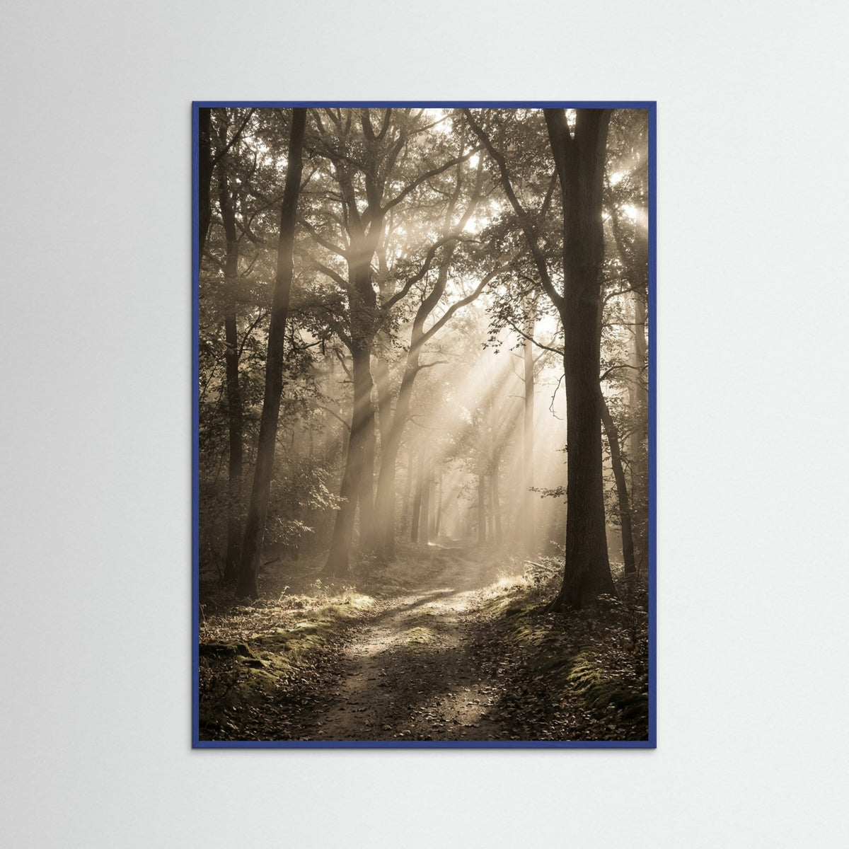 Blue Wood Morning Radiance