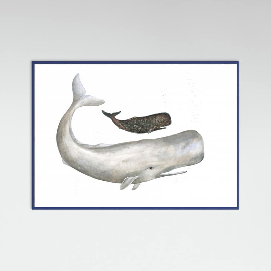 Poster Mother and Baby Sperm Whale – poster e stampa artistica