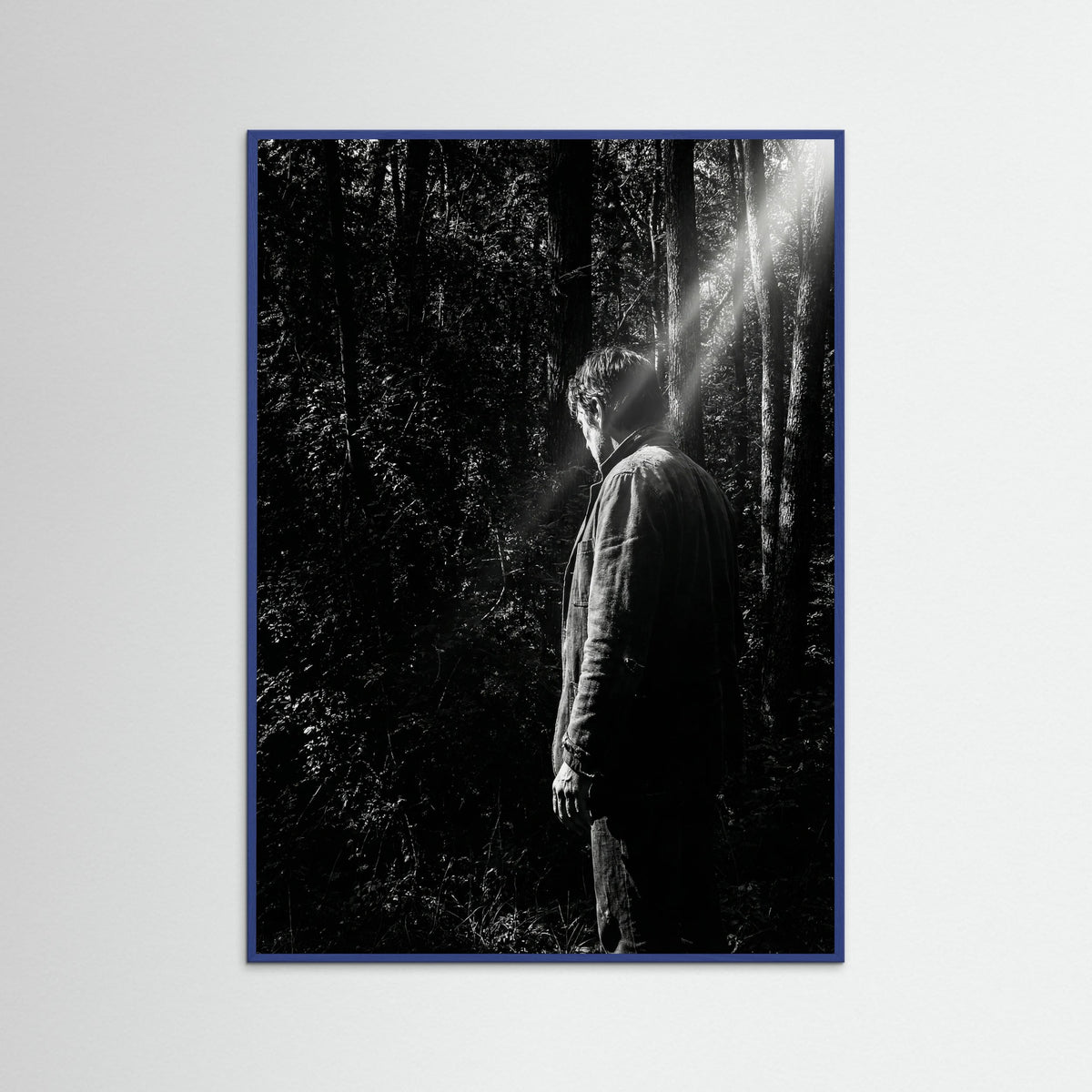 Blue Wood Obscured Presence