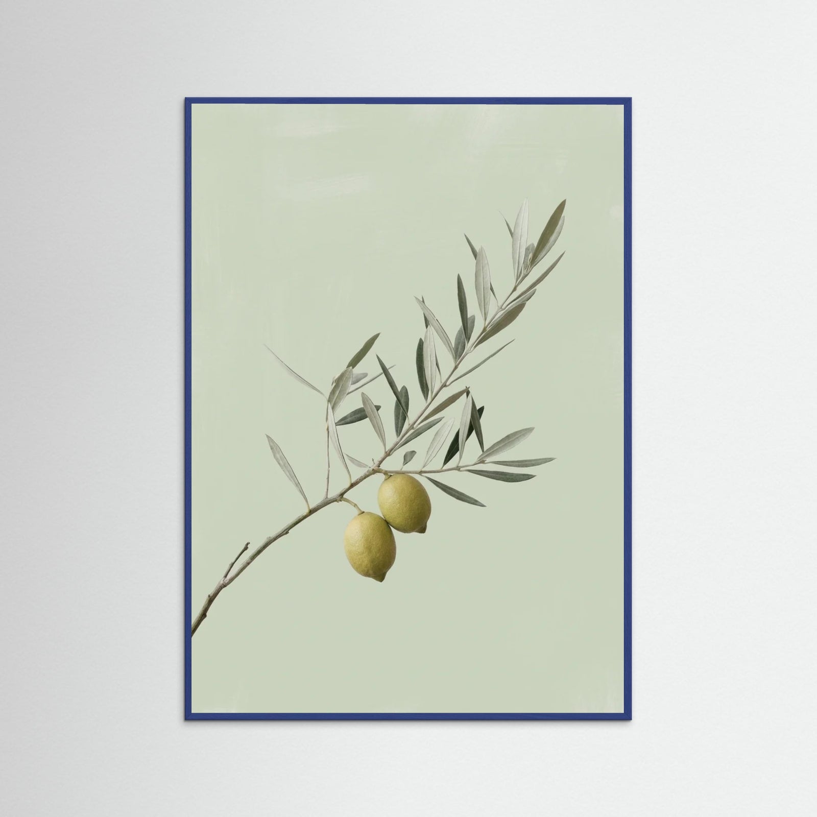 Blue Wood Olive Branch Serenity