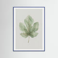 Blue Wood Olive Branch Study