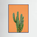 Blue Wood Orange Cactus Poster