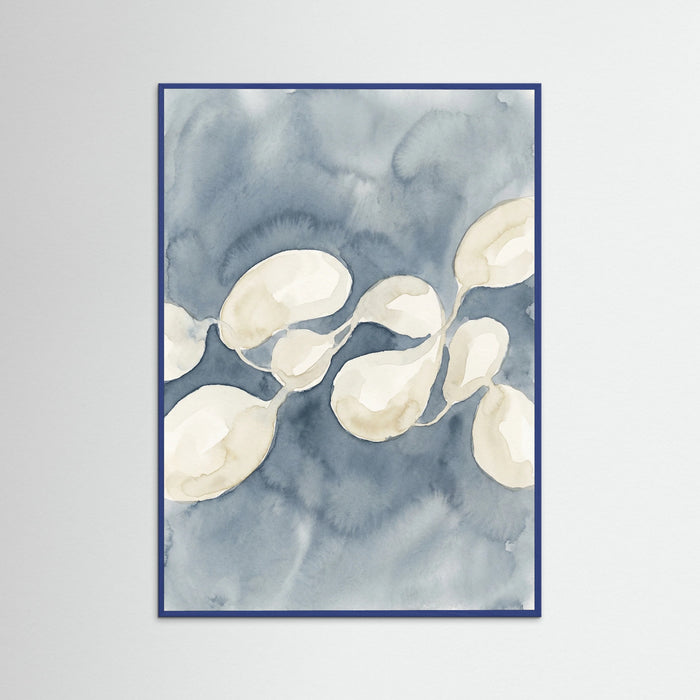 Blue Wood Organic Cadence