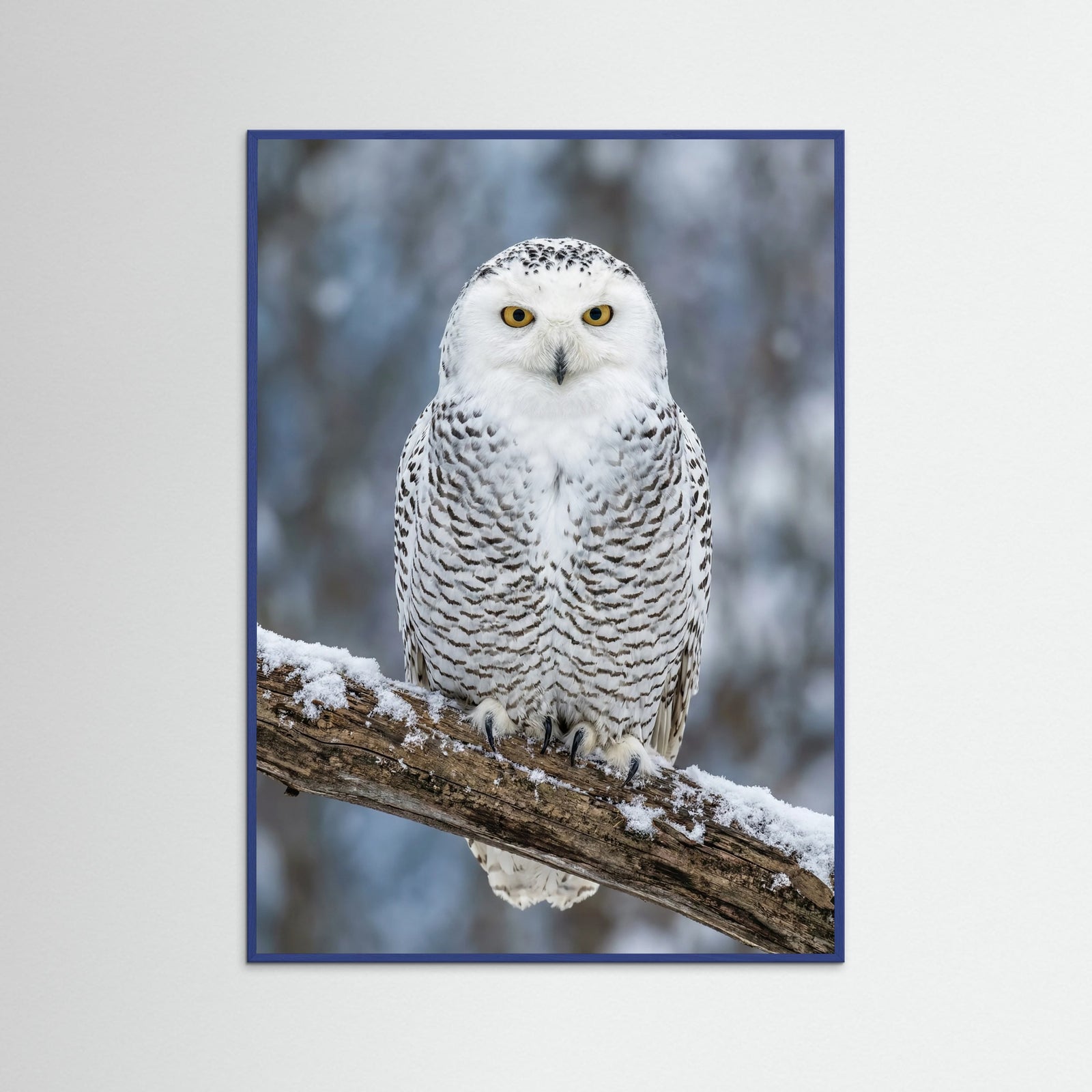 Blue Wood Pandas Serenity