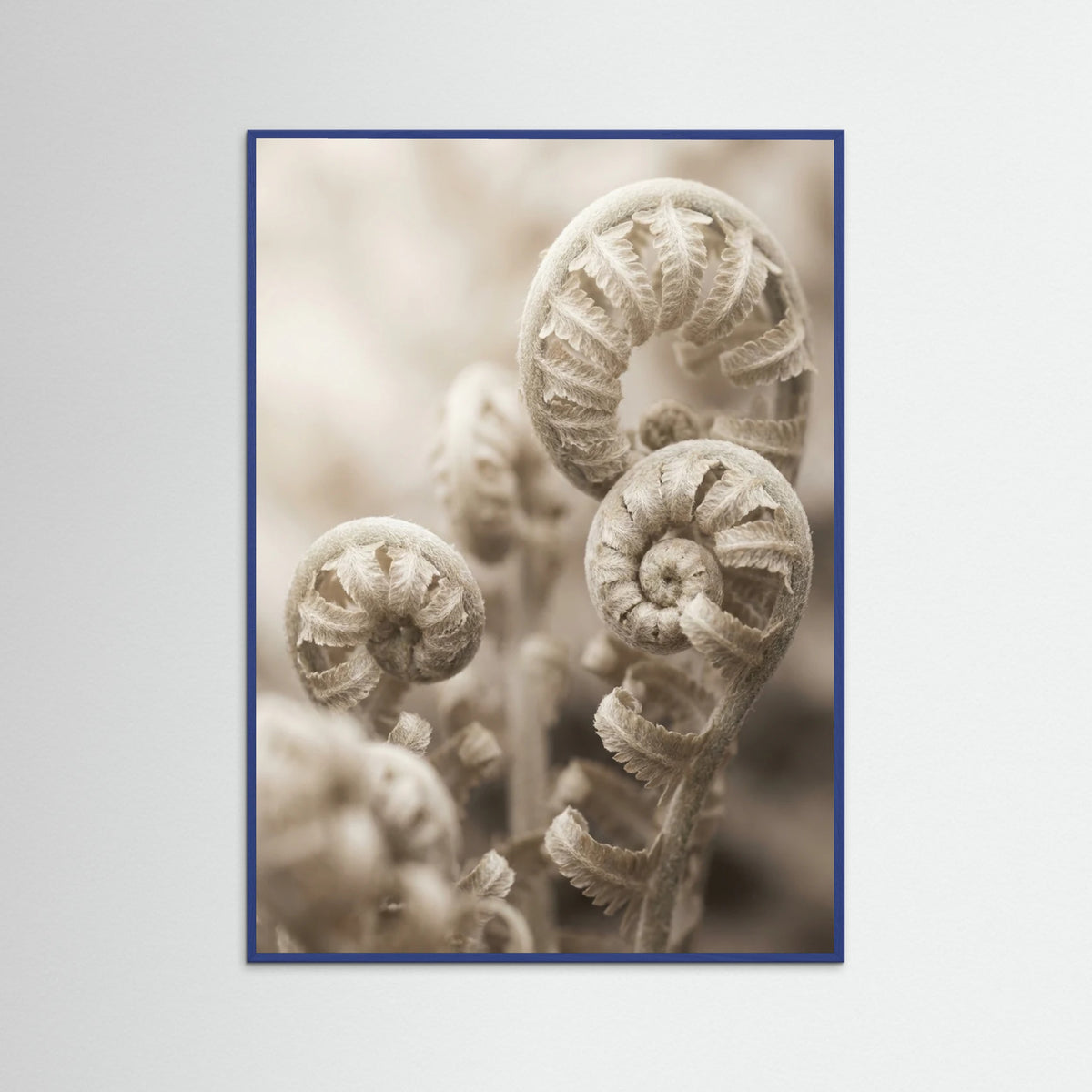 Blue Wood Petal Serenity