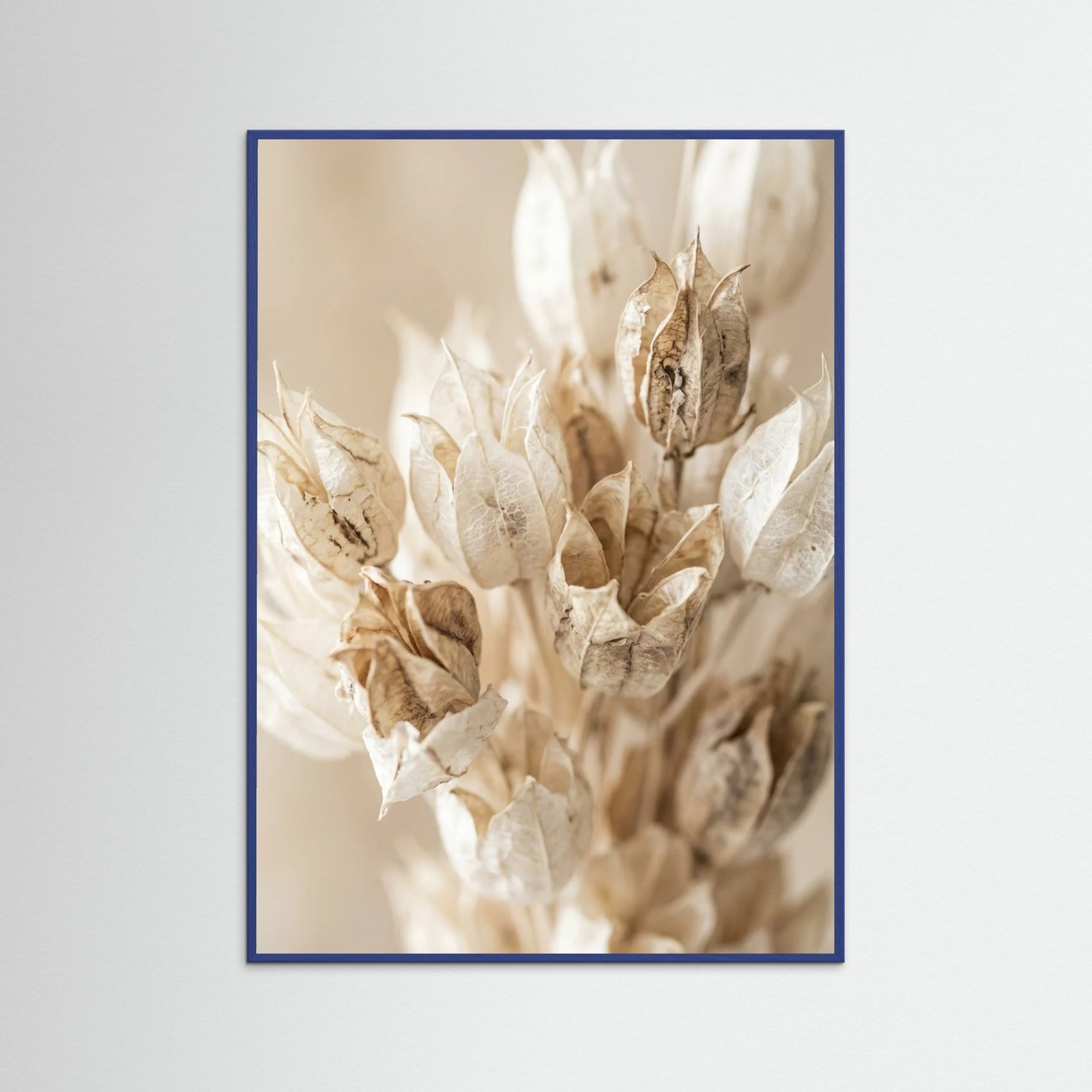 Blue Wood Petal Serenitys