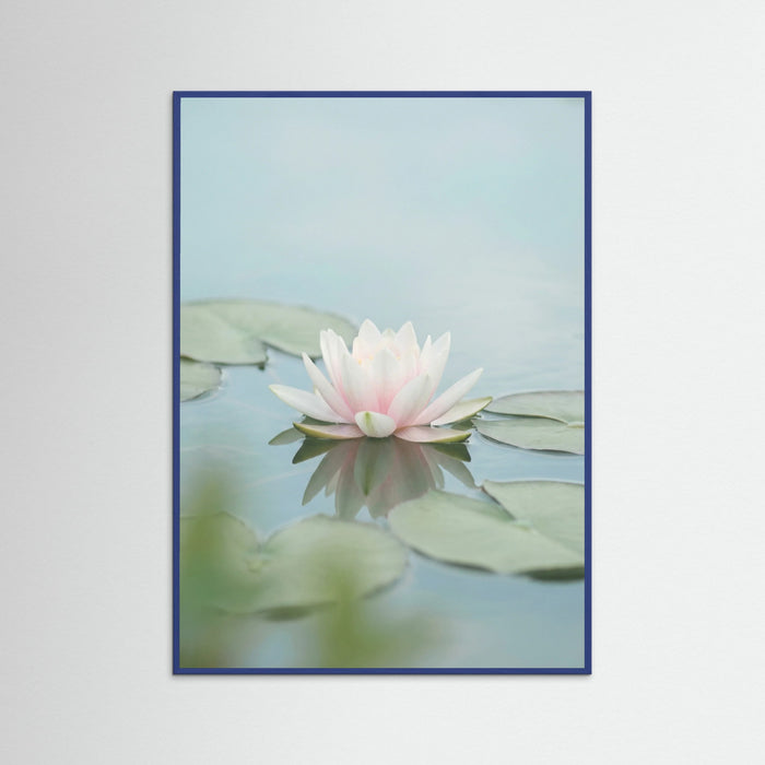 Blue Wood Pink Lotus Serenity