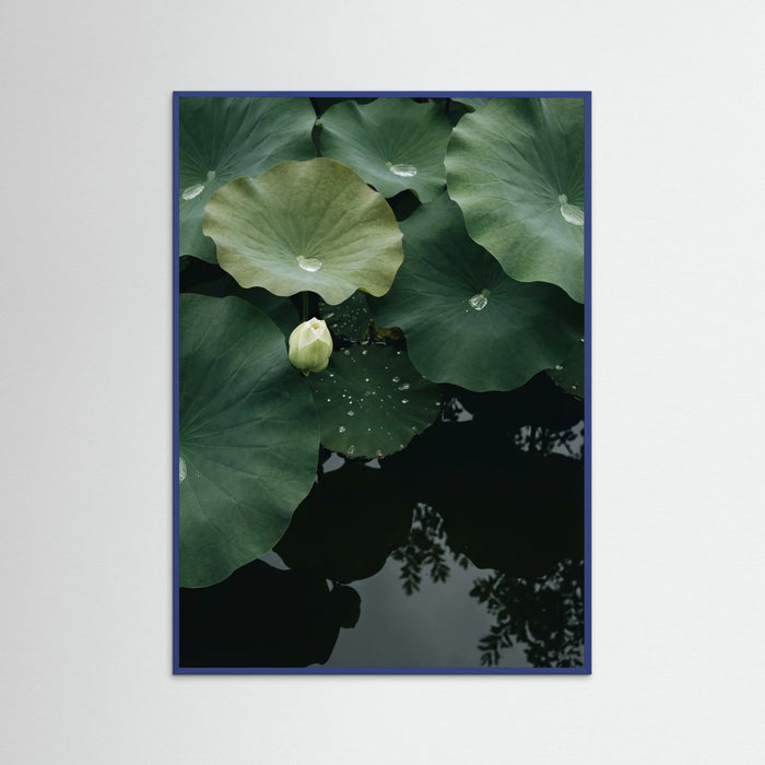 Blue Wood Pond Stillness