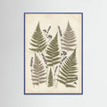 Blue Wood Pressed Botanicals