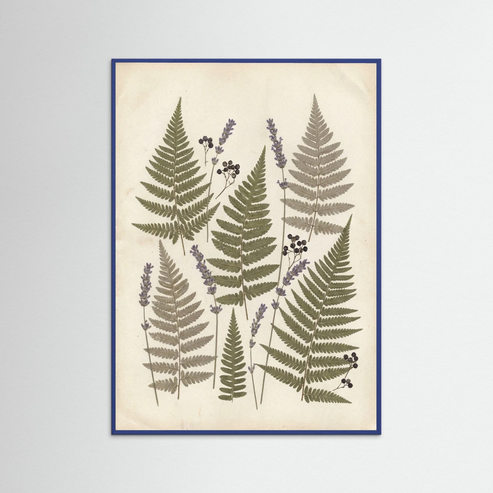 Blue Wood Pressed Botanicals