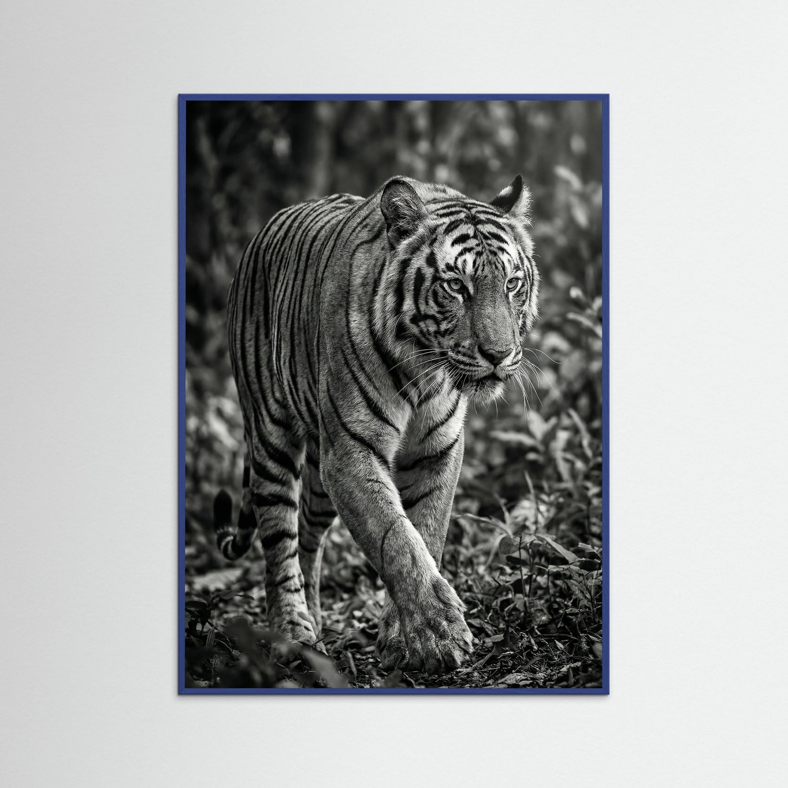 Blue Wood Regal Gaze