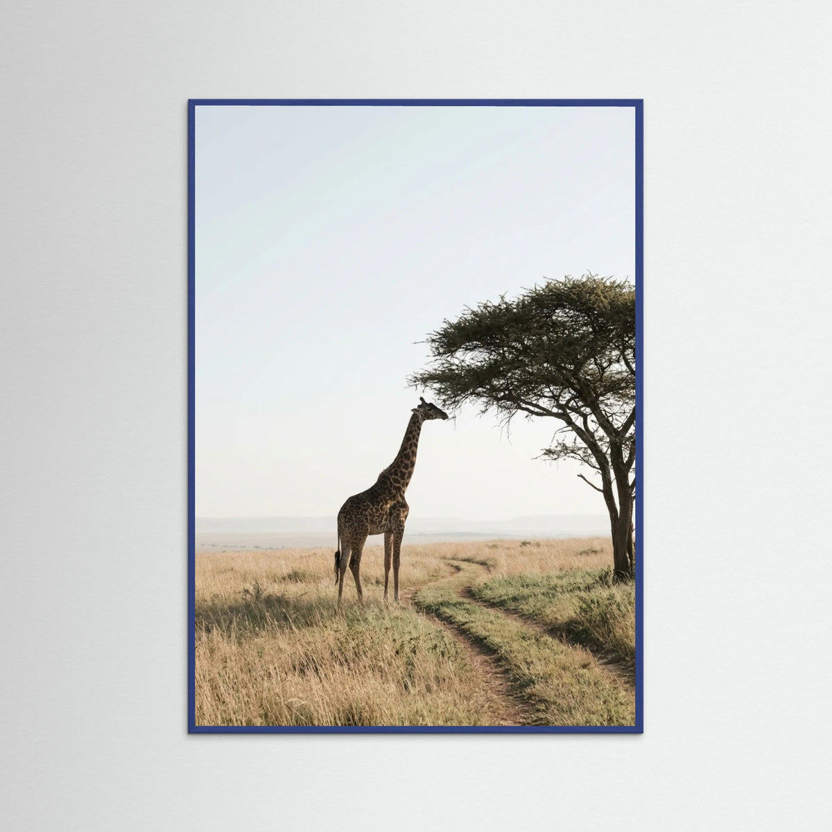 Blue Wood Savanna Horizon
