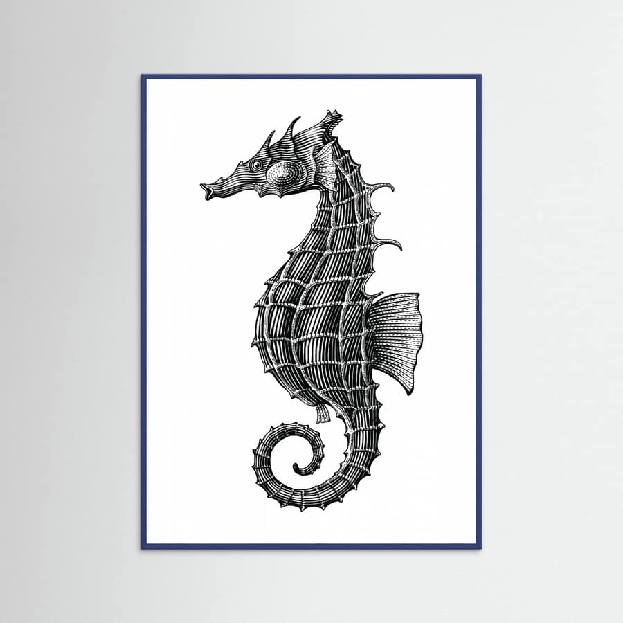 Affiche Seahorse – affiche et impression d’art