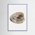 Poster Seashell – poster e stampa artistica