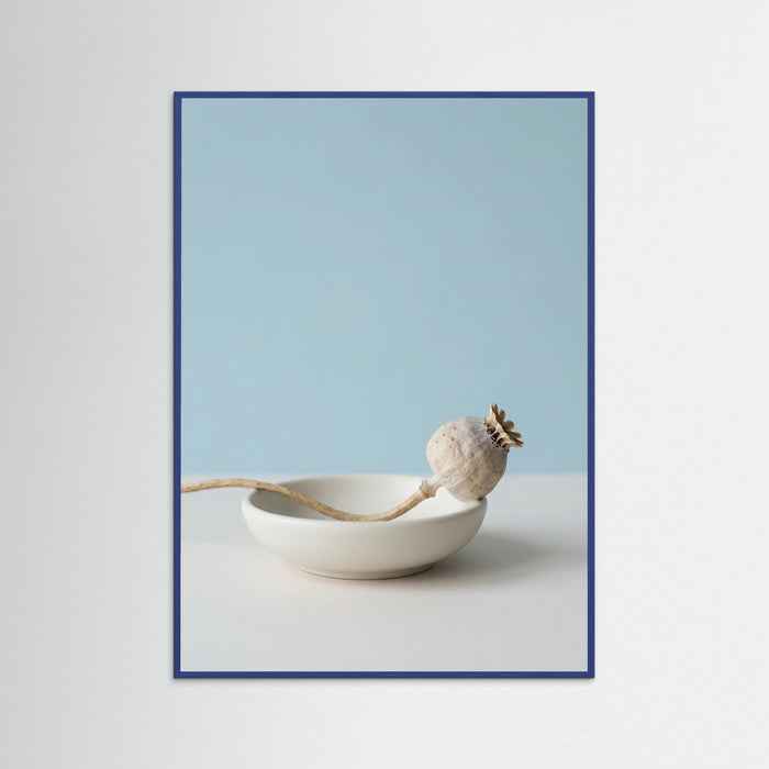Blue Wood Serene Foliage