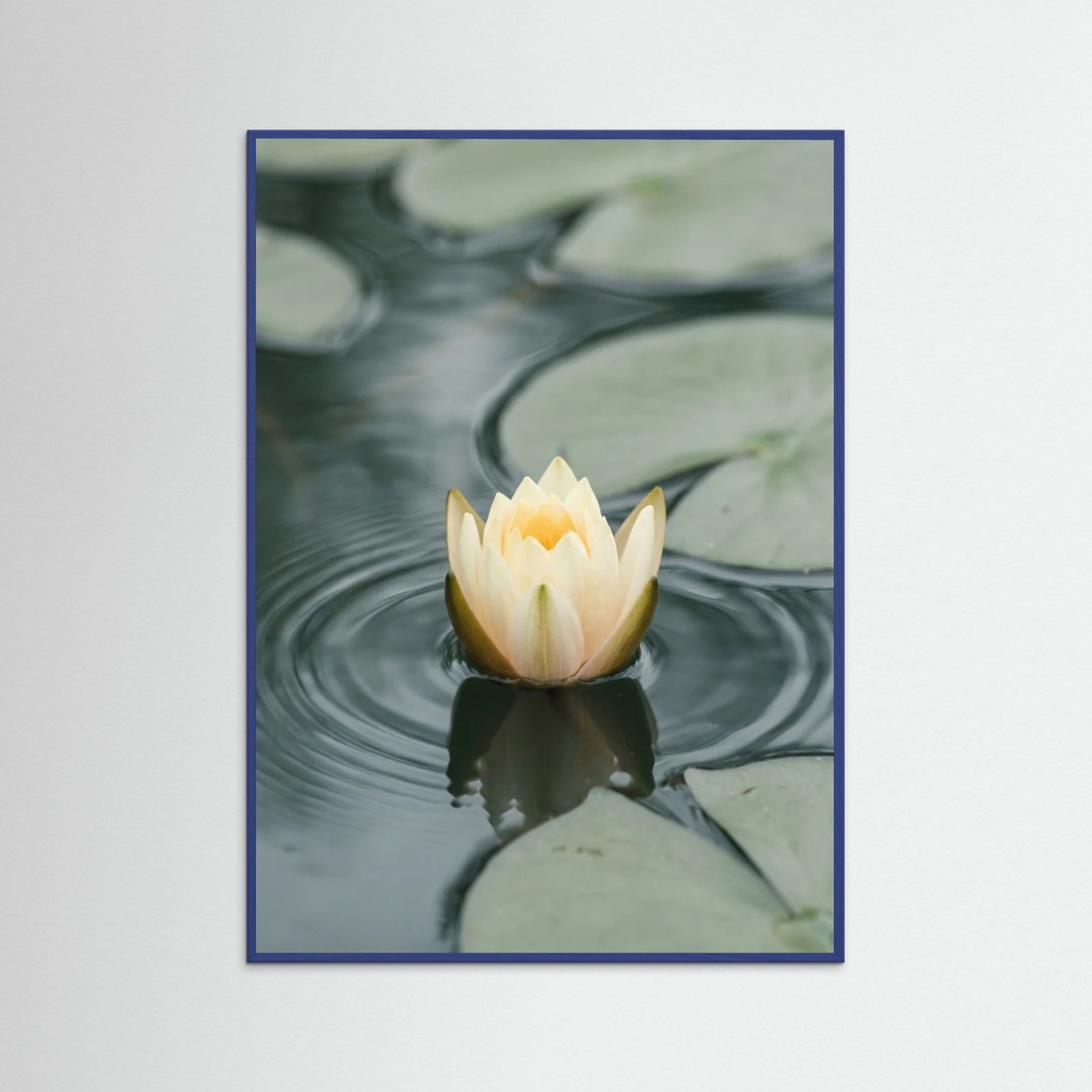 Blue Wood Serene Water Lilies