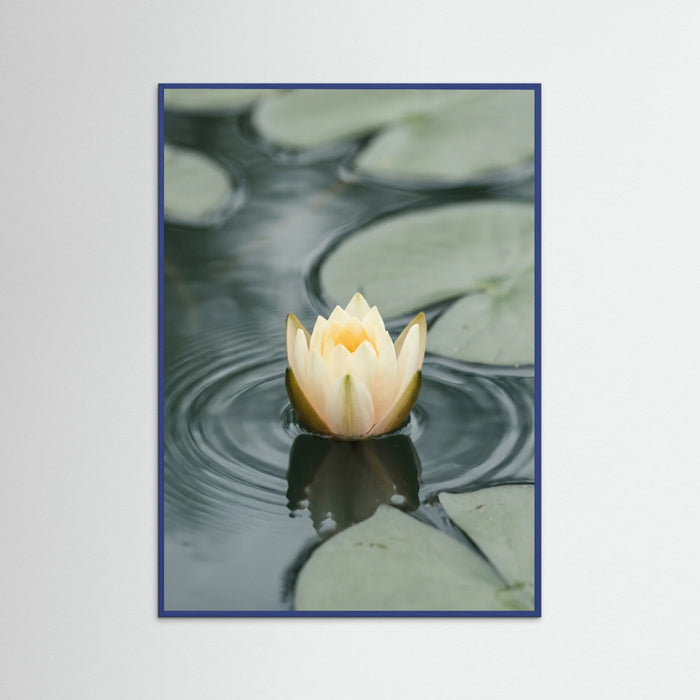 Blue Wood Serene Water Lilies