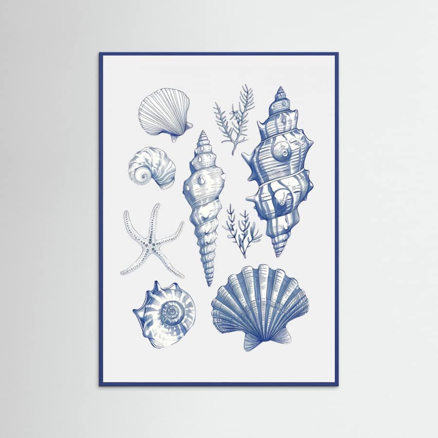 Plakat Shell Collage – plakat i druk artystyczny