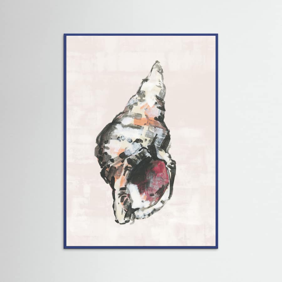 Plakat Shell Collector Art Print No 2 – plakat i druk artystyczny